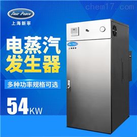 LDR0.77-0.7功率54千瓦蒸汽量77kg/h电蒸汽发生器锅炉
