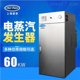 LDR0.86-0.7蒸发量86公斤功率60kw电蒸汽锅炉